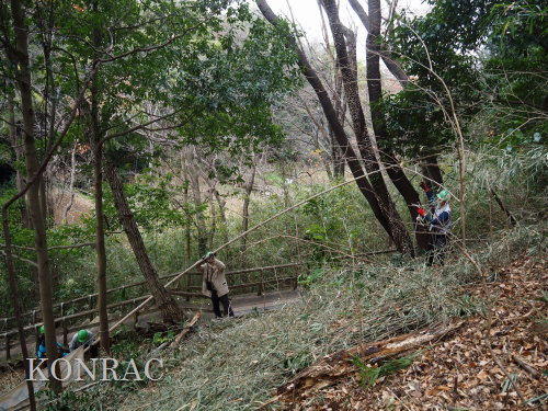 ���R��y��