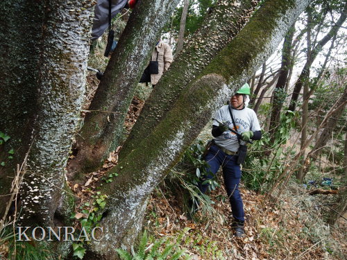 ���R��y��