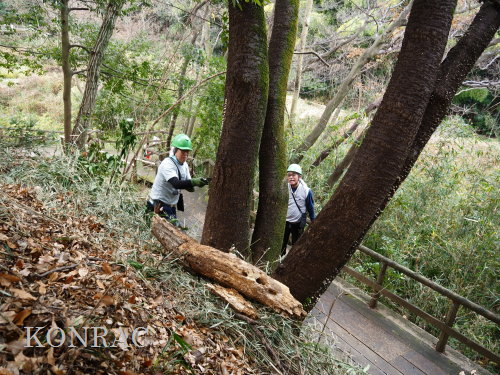 ���R��y��