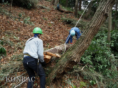 ���R��y��