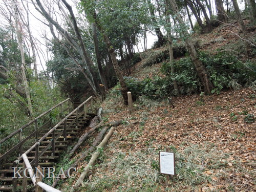 ���R��y��