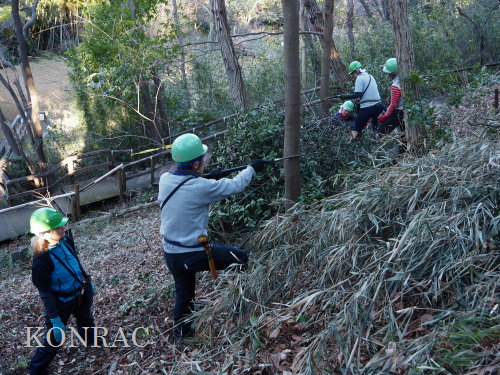 ���R��y��