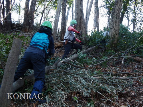 ���R��y��