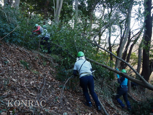 ���R��y��