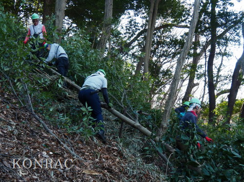 ���R��y��