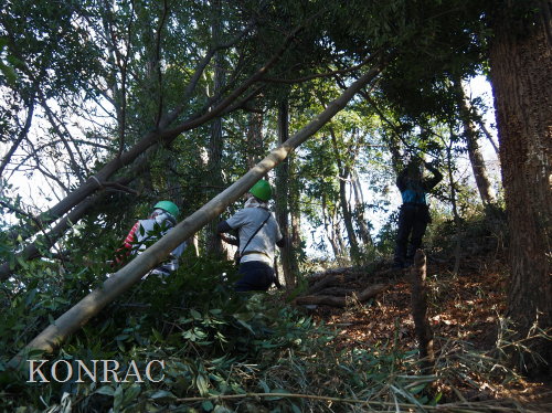 ���R��y��