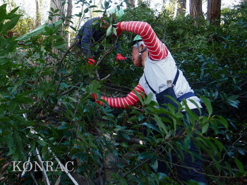 ���R��y��