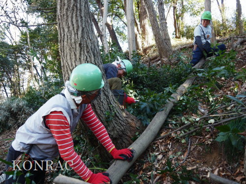 ���R��y��