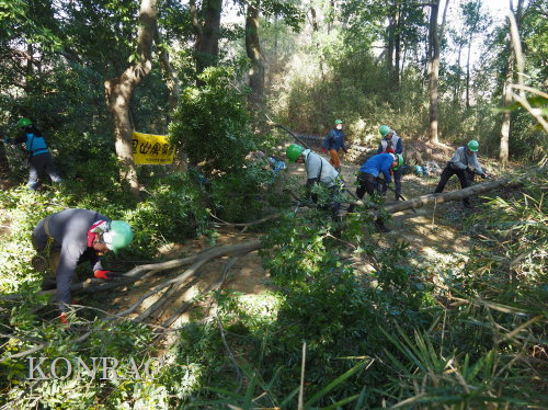 ���R��y��