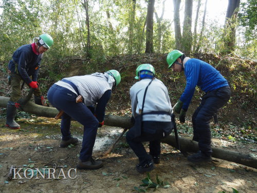 ���R��y��