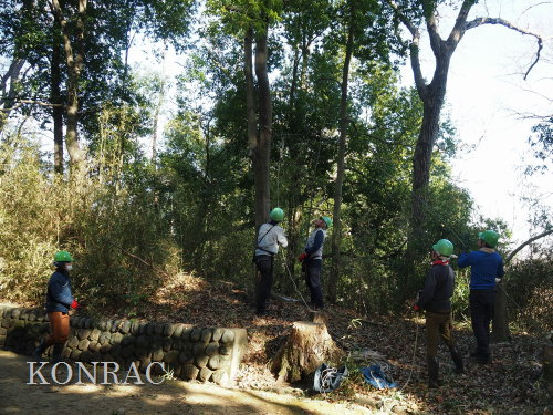 ���R��y��