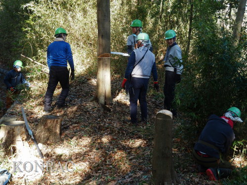 ���R��y��