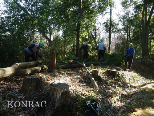 ���R��y��