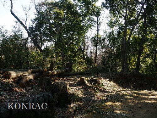 ���ы�y��