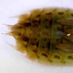 2009/6/6 �v�[������̏W�����c��