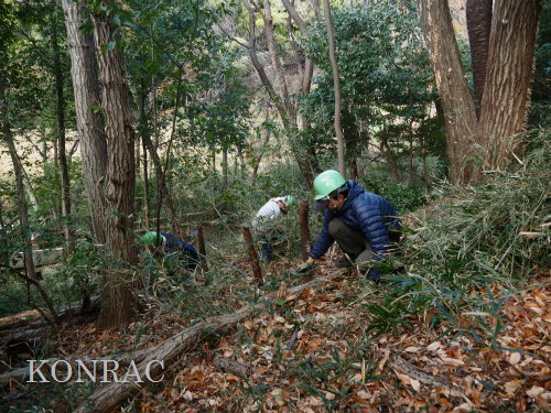 ���R��y��