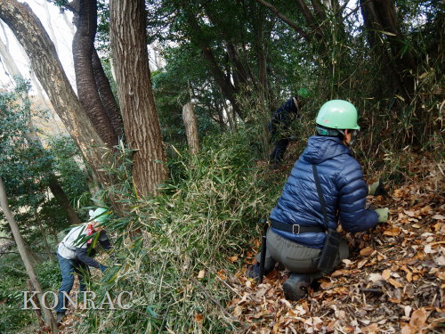 ���R��y��