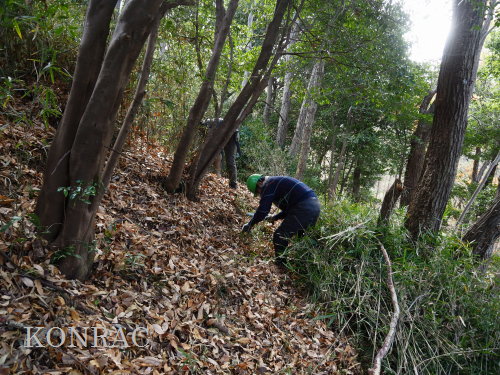 ���R��y��