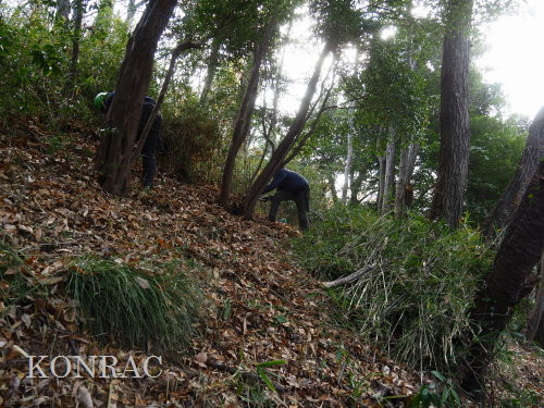 ���R��y��