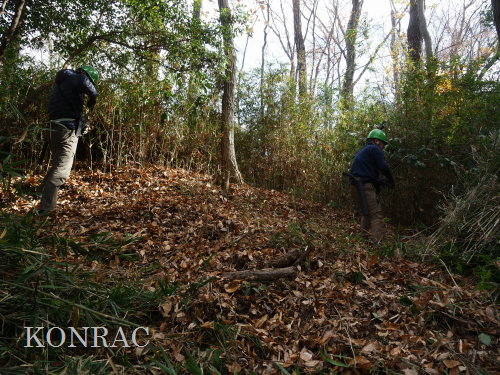 ���R��y��