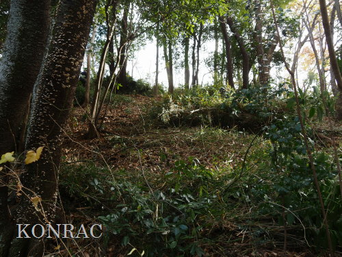 ���R��y��