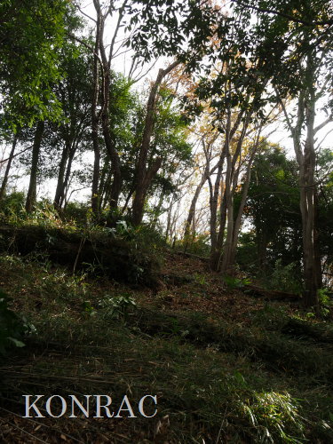 ���R��y��