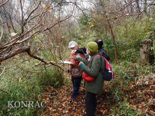 ���ы�y��