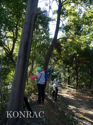 ���R��y��