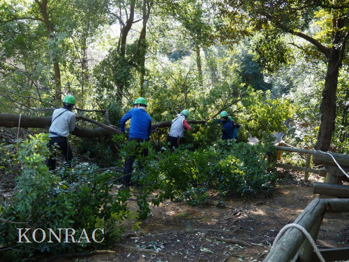 ���R��y��