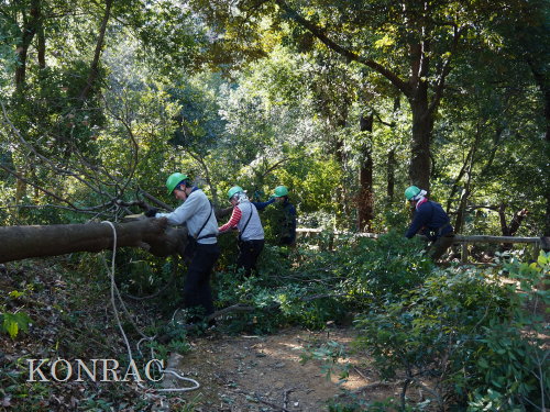 ���R��y��