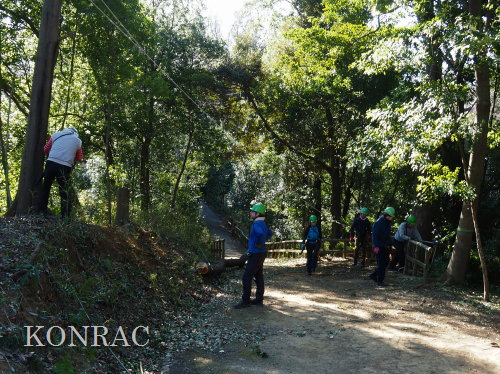 ���R��y��