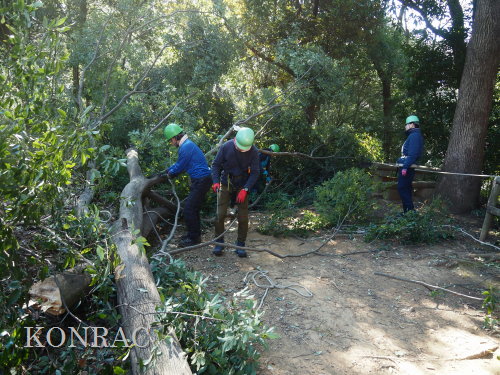 ���R��y��