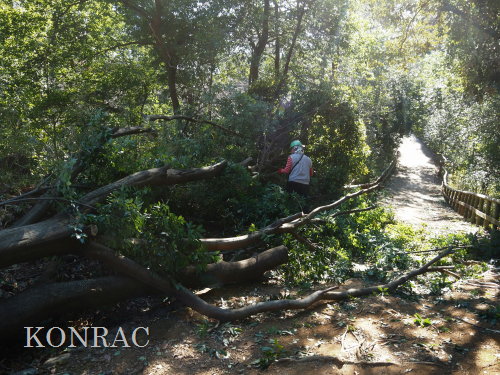 ���R��y��