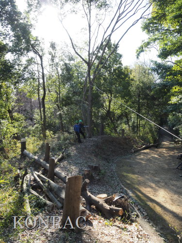 ���R��y��