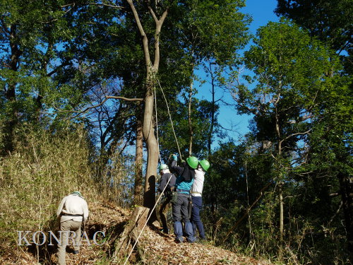 ���R��y��