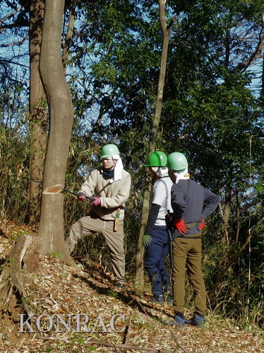 ���R��y��