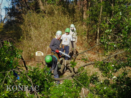 ���R��y��