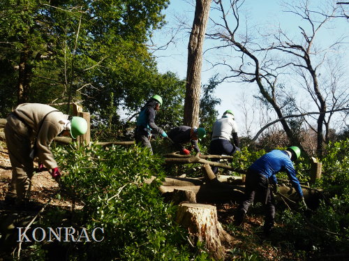 ���R��y��