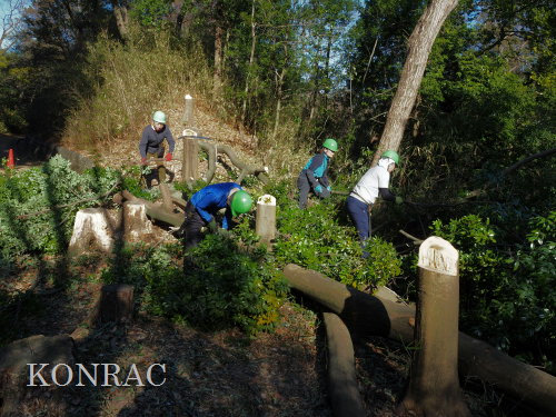 ���R��y��