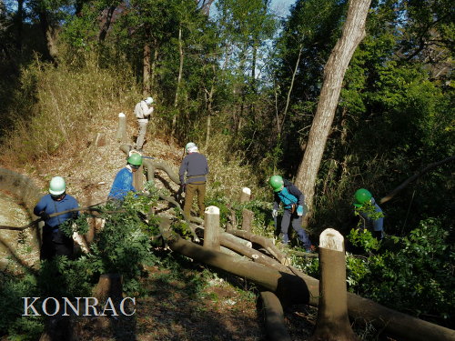 ���R��y��