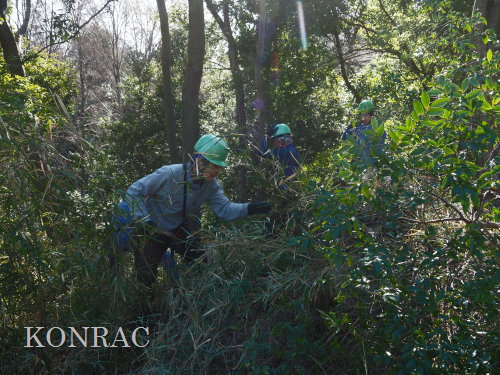 ���R��y��