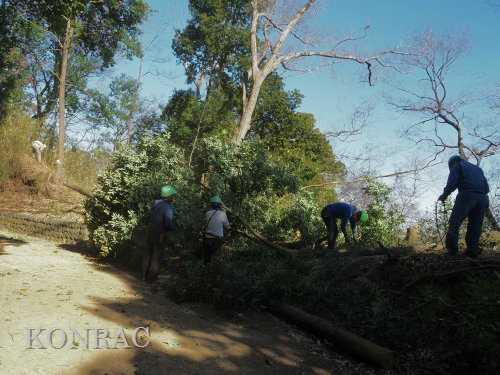 ���R��y��