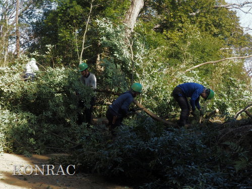 ���R��y��