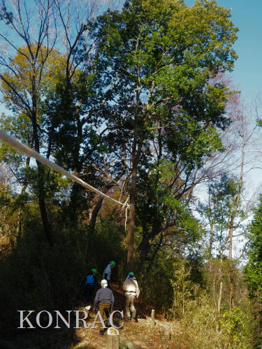 ���R��y��