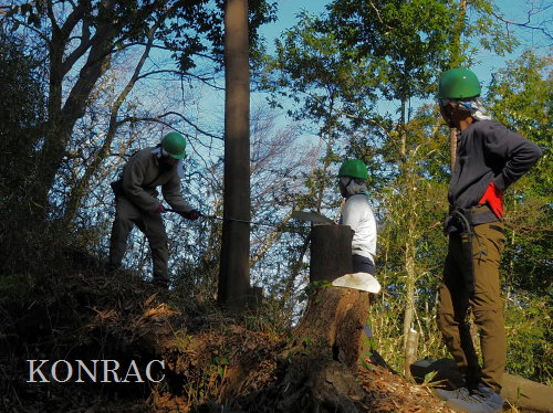 ���R��y��