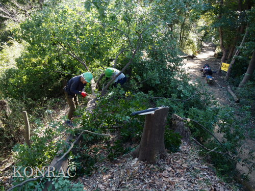 ���R��y��