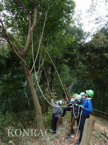 ���R��y��