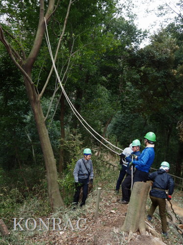 ���R��y��