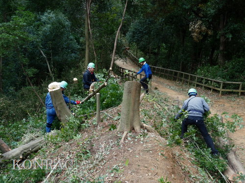 ���R��y��