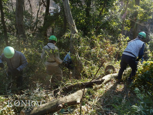 ���R��y��